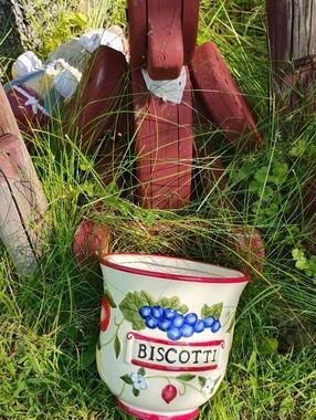 JAR BISCOTTI NPLVC
